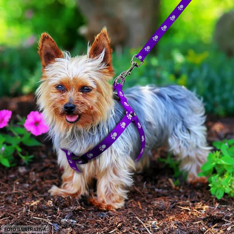 Coleira Peitoral Ajustável para Cães Pequenos